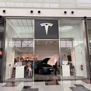 TESLA LLEGA A NEVADA SHOPPING